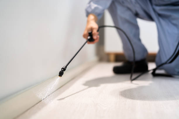 Licensed Cockroach Control service in Crystal River, FL - Nex Pest Control