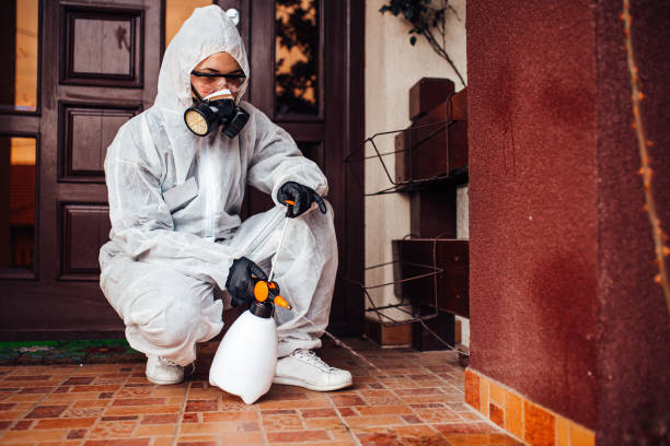 Reliable Cockroach Control contractor in Crystal River, FL by Nex Pest Control